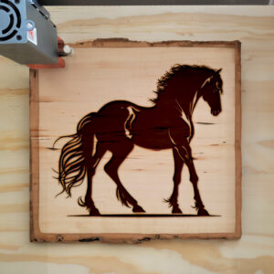 41516_wood-laser-1.jpg