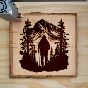 41528_wood-laser-1.jpg