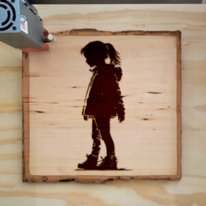 41556_wood-laser-1.jpg
