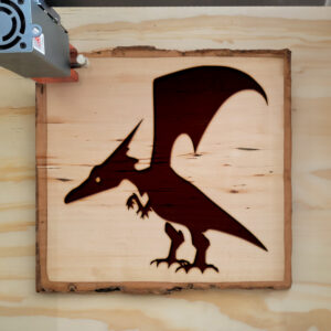 41567_wood-laser-1.jpg