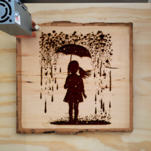 41569_wood-laser-1.jpg
