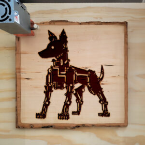 41583_wood-laser-1.jpg