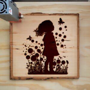 41621_wood-laser-1.jpg