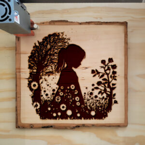 41627_wood-laser-1.jpg