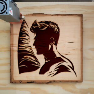 41679_wood-laser-1.jpg