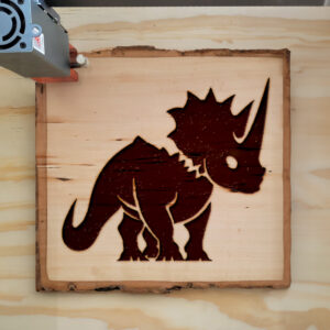 41717_wood-laser-1.jpg