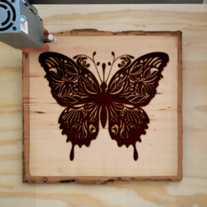 43249_wood-laser-1.jpg