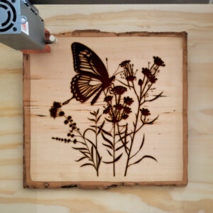 43284_wood-laser-1.jpg