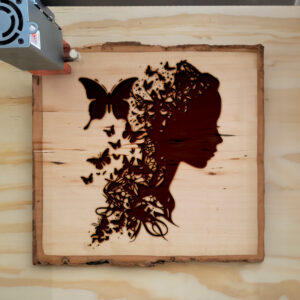 43297_wood-laser-1.jpg
