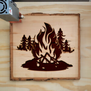 43342_wood-laser-1.jpg