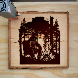 43382_wood-laser-1.jpg