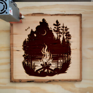 43393_wood-laser-1.jpg