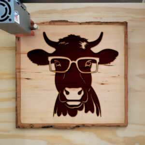 43412_wood-laser-1.jpg