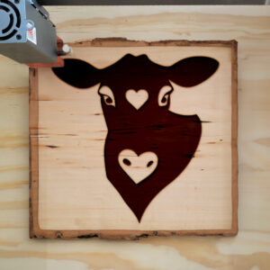 43420_wood-laser-1.jpg