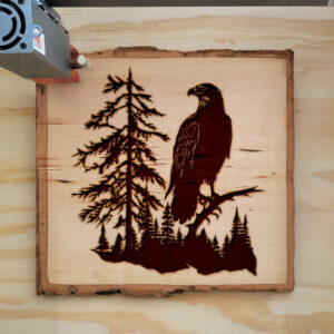 43430_wood-laser-1.jpg