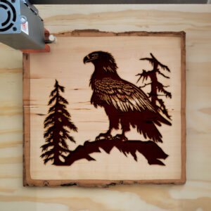 43434_wood-laser-1.jpg