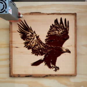 43440_wood-laser-1.jpg