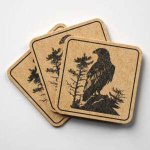 43448_coaster-1.jpg