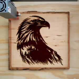 43452_wood-laser-1.jpg