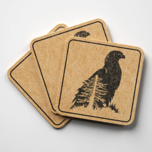 43454_coaster-1.jpg