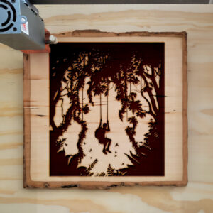 43480_wood-laser-1.jpg