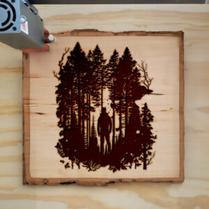 43484_wood-laser-1.jpg