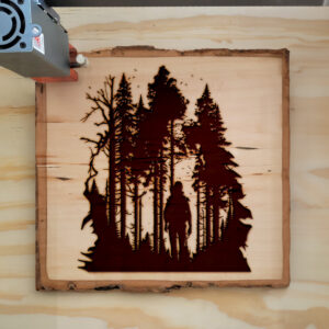 43488_wood-laser-1.jpg