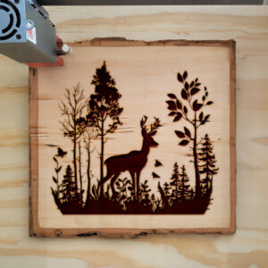 43492_wood-laser-1.jpg