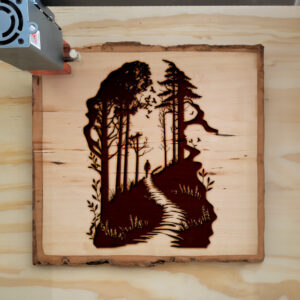 43504_wood-laser-1.jpg