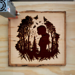 43520_wood-laser-1.jpg