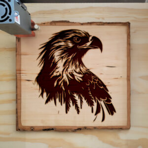 43528_wood-laser-1.jpg
