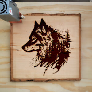 43595_wood-laser-1.jpg