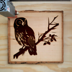 43627_wood-laser-1.jpg