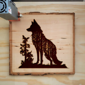43645_wood-laser-1.jpg
