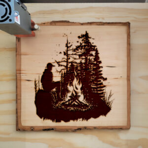 43666_wood-laser-1.jpg