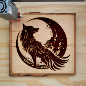 43686_wood-laser-1.jpg
