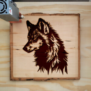43690_wood-laser-1.jpg