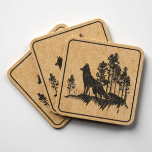 43696_coaster-1.jpg