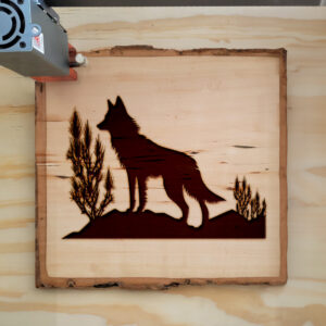 43698_wood-laser-1.jpg