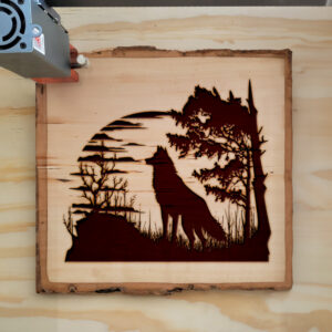 43706_wood-laser-1.jpg