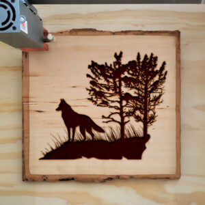 43708_wood-laser-1.jpg
