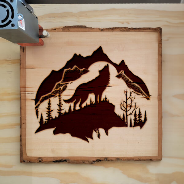 43710_wood-laser-1.jpg