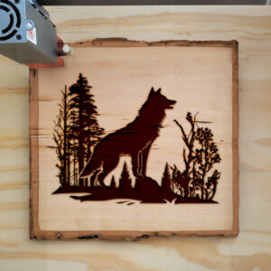 43716_wood-laser-1.jpg
