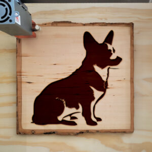 44640_wood-laser-1.jpg