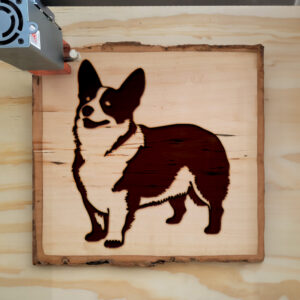 44689_wood-laser-1.jpg