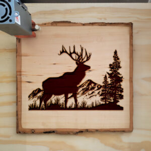 44703_wood-laser-1.jpg