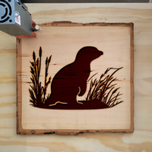44710_wood-laser-1.jpg