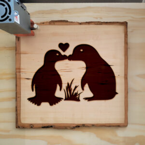 44714_wood-laser-1.jpg