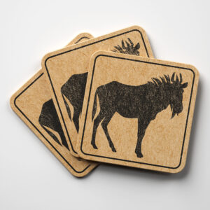 44757_coaster-1.jpg