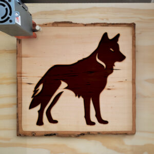 44763_wood-laser-1.jpg